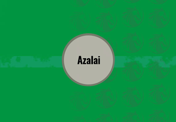 80X80 Azalai
