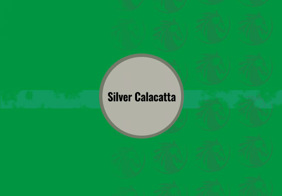 Gümüş Calacatta
