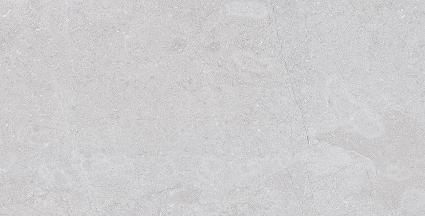 Light-Gray-Aruna-80x80