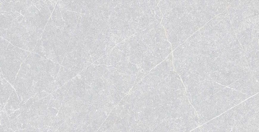 Light-Gray-Shaden-50x100